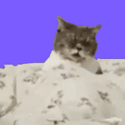 Jcat
